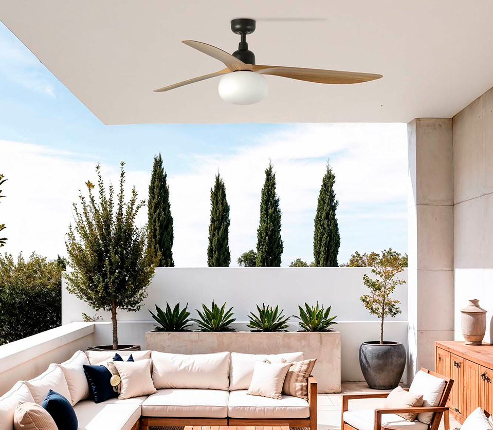 Ceiling Fans